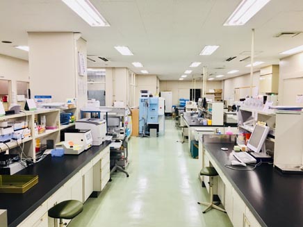 lab