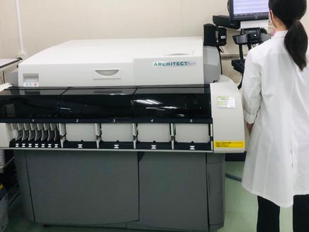 lab
