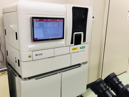 lab