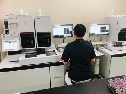 lab