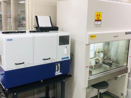 lab