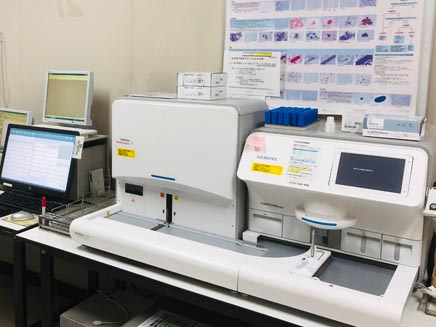 lab