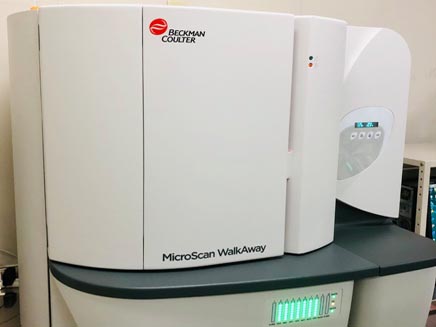 lab